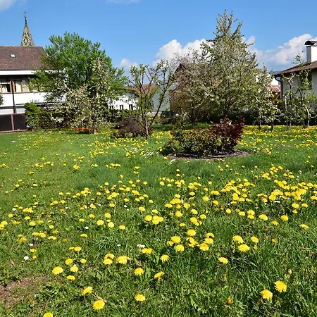 Hotel Angerburg Blumenhotel 3*